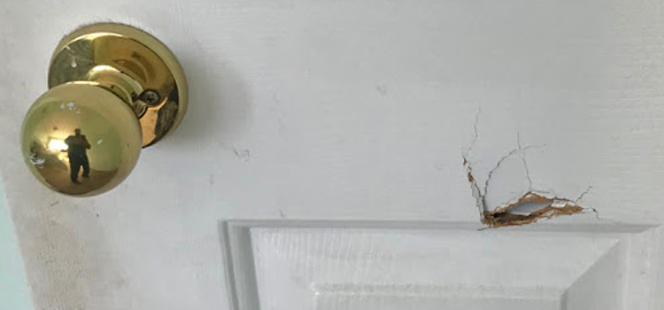 interior door hole repair San Anselmo